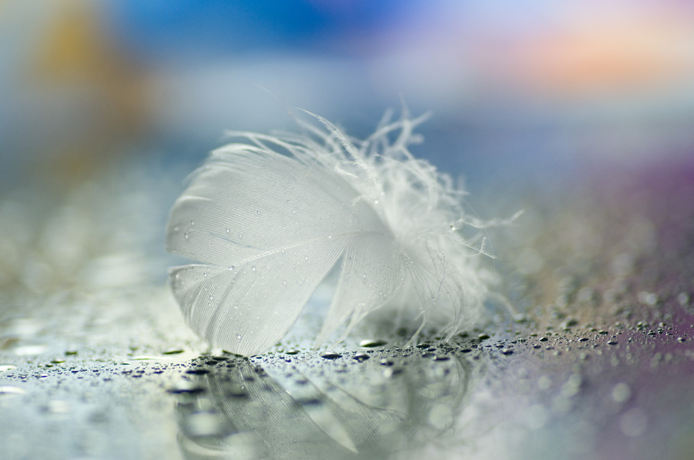 Engelzahlen, eine Botschaft der Engel: Foto: © Barbora Polivkova / shutterstock / #340346192