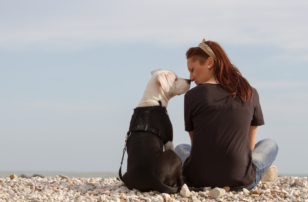 Tierkommunikation mittels Gedankenübertragung: Foto: © Liliana Cantu / shutterstock / #120449176